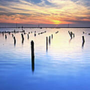 Dusk At Oyster Field Poster