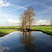 Dutch Polder With Wide Ditch And Trees Poster