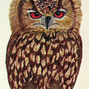 Eagle Owl Poster