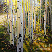 Early Fall Colors Of Aspen Poster