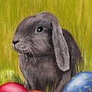 Easter Bunny Poster