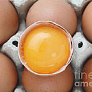 Egg Yolk From Above Poster