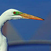 Egret And Skyway Ii Poster