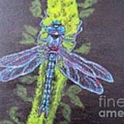 Electrified Blue Dragonfly Poster