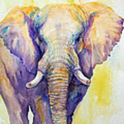 Elephant In Purple Poster