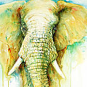 Elephant The Stalwart Poster