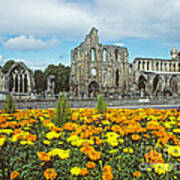 Elgin Cathedral - Scotland Poster