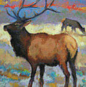 Elk Poster