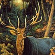 Elk Painting - Autumn Majesty Poster