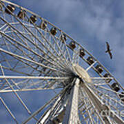 English Riviera Wheel Torquay Poster