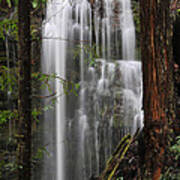 Ephemeral Falls Tributary To Gazos Creek - Santa Cruz Mountains Poster