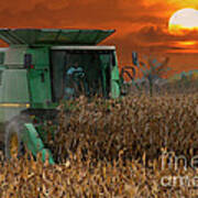 Evening Harvest Poster
