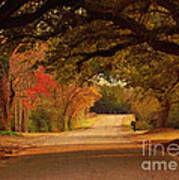 Fall Along A Country Road Poster