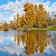 Fall Colors And Clouds Reflected In A Pond Poster