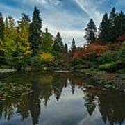 Fall Colors Japanese Garden Serenity Poster