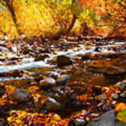 Fall Flow At Mcgee Creek Poster
