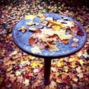 Fall Foliage On Table And Ground Poster