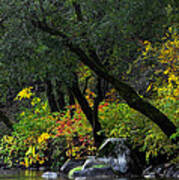 Autumn On The Yuba River  #1 Poster