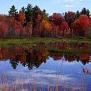 Fall Reflections Poster