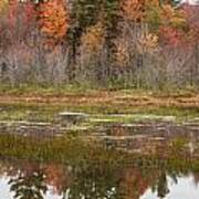 Fall Trees Reflected In Lake Chocorua Poster