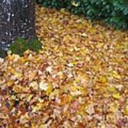 Fallen Leaves Poster