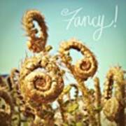 Curly Fern Fronds Poster