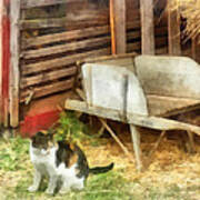 Farm Cat Poster