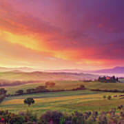 Farm In Tuscany At Dawn Poster