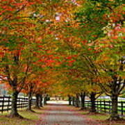 Farm Lane In Autumn Poster