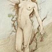 Female Nude With Grapes Poster