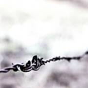 #fence #barbedwire #macro #fade Poster