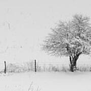 Fence Line In The Wintertime Poster