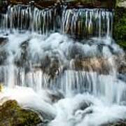 Fern Spring Yosemite Poster