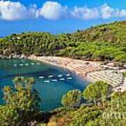 Fetovaia Beach - Elba Island Poster