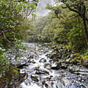 Fiordland National Park New Zealand Poster