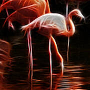 Fire Flamingos Poster