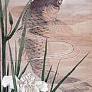 Fish Poster