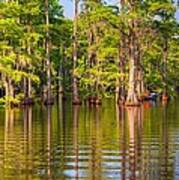 Fishing At The Bayou Poster