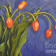 Five Tulips Poster