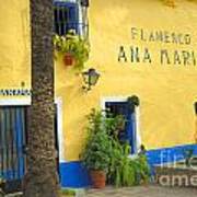 Flamenco Bar In Marbella Poster
