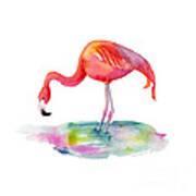 Flamingo Dip Poster