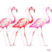 Flamingo Trio I Poster