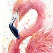 Flamingo Watercolor Painting Poster