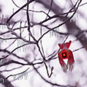 Flight Of A Winter Cardinal Poster