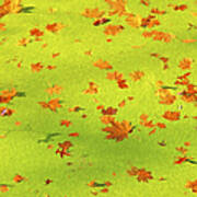 Floating Orange Leaves Poster