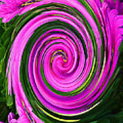Floral Swirl 2 Poster
