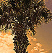 Florida Palm Poster