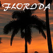 Florida State Royal Palm 1 Poster