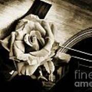 Flower Rose Bloom On Guitar Painting In Sepia 3264.01 Poster