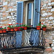 Flowers 3- Assisi Poster